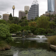 Sydney from the Royal Gardens