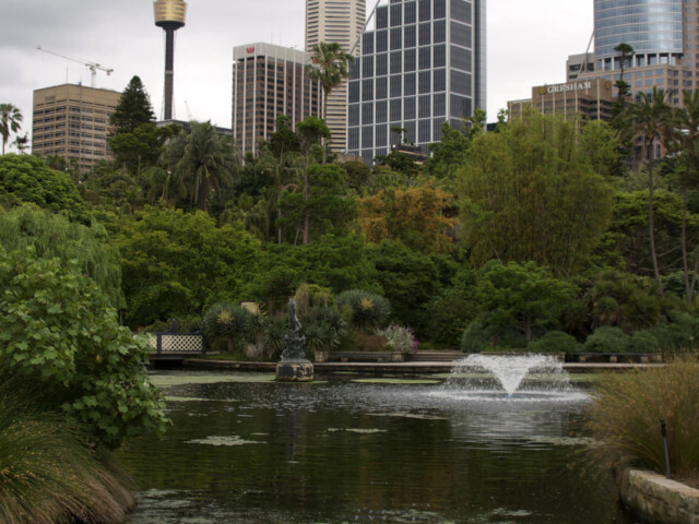 Sydney from the Royal Gardens