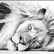 Lazy Lion