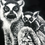 Lemurs